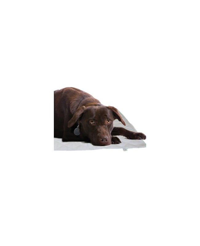 Tapis magnétique pour chat ou chien 100 X 50cm Tapis magnétique pour chat ou chien 100 X 50cm