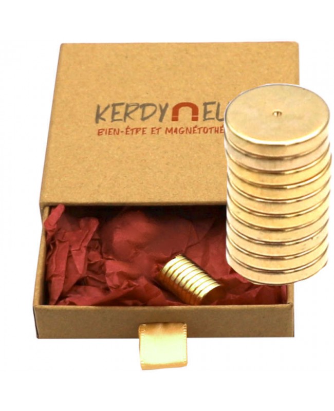 10 Aimants diamètre 12 mm thérapeutiques Néodyme vrac boite recyclable 10 Aimants diamètre 12 mm thérapeutiques Néodyme vrac boite recyclable