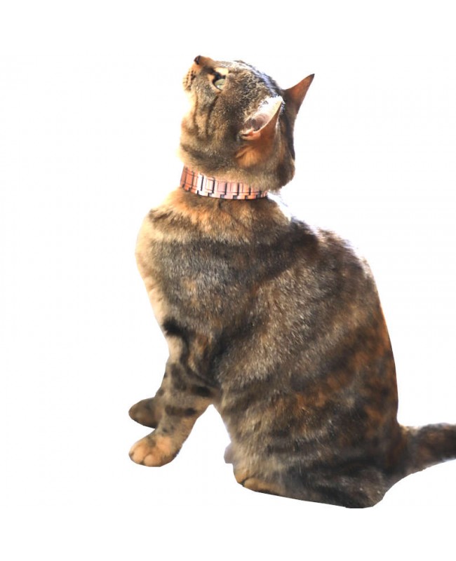 Collier antidouleur en cuivre magnétique pour chat Collier antidouleur en cuivre magnétique pour chat